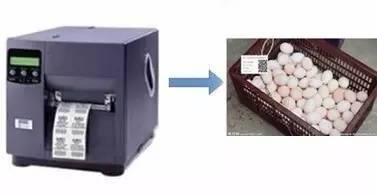 二维码追溯食品安全，黄埔区试点推广应用