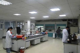 网购 超越优惠的信任桥梁——检测服务的力量